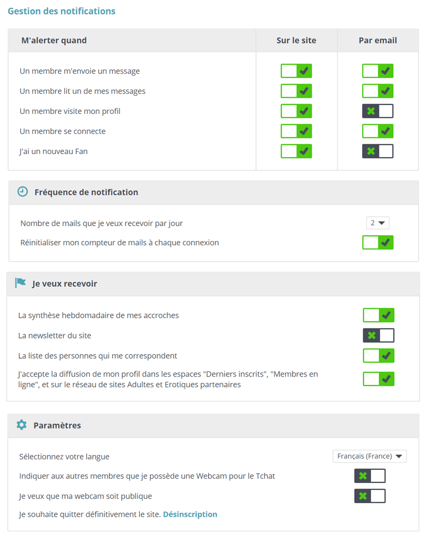 screenshot page gestion alerte email et notification easyflirt 