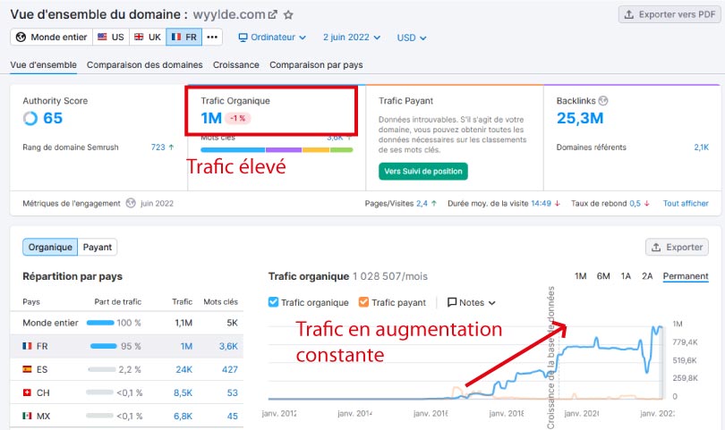 trafic semrush wyylde