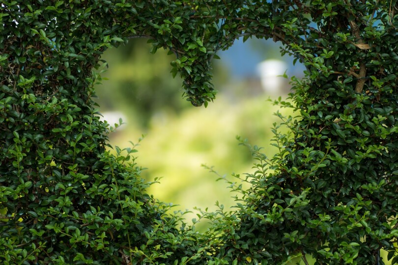 Cœur fleuri symbolisant l’amour de soi et les rencontres virtuelles.