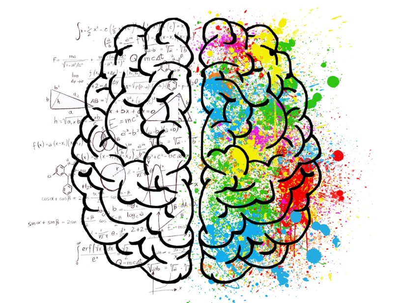 Image d’un dessin d’un cerveau avec des formules mathématiques