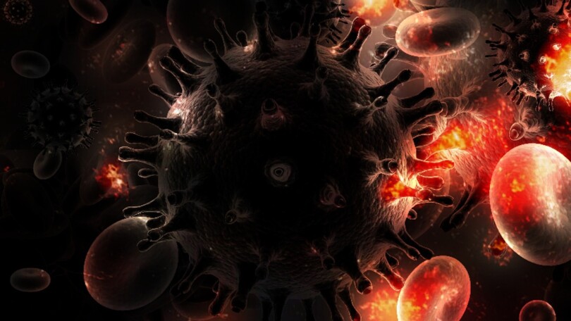 Photos d’un virus MST