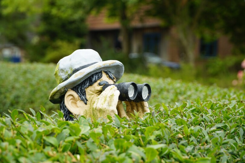 le candaulisme résumé par un visage d'une statut qui sort des buissons avec des jumelles