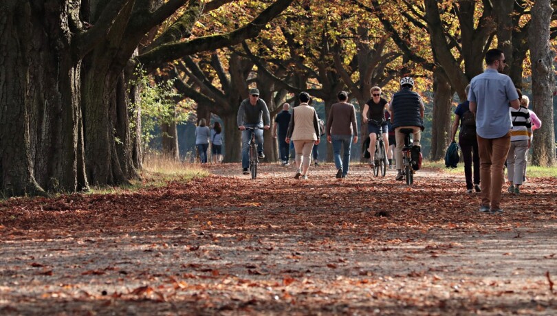 Une allée d’un parc public propices aux rencontres amoureuses