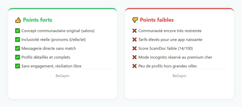 Points forts et points faibles de BeGaym : concept original et inclusif mais communauté restreinte
