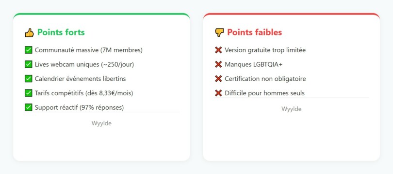 Avantages et inconvénients de Wyylde : résumé visuel